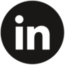 LinkedIn icon